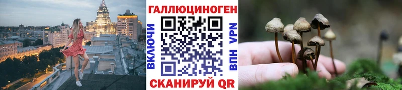 Купить  Борисоглебск  Галлюциногенные грибы Psilocybe 